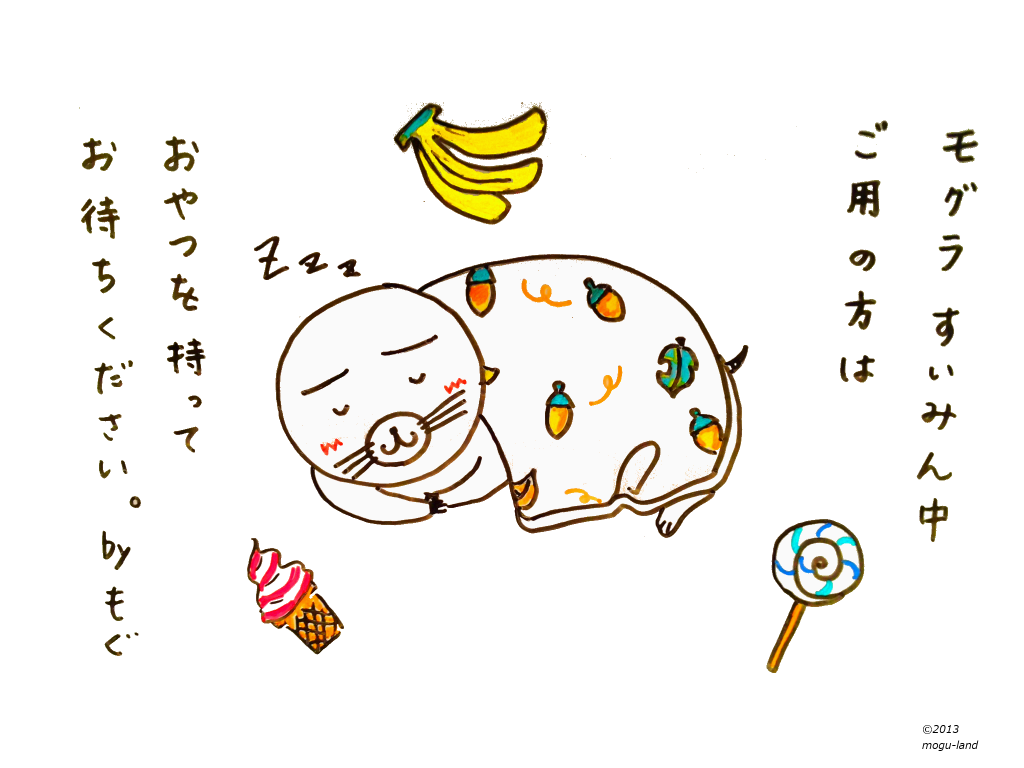 モグ睡眠中