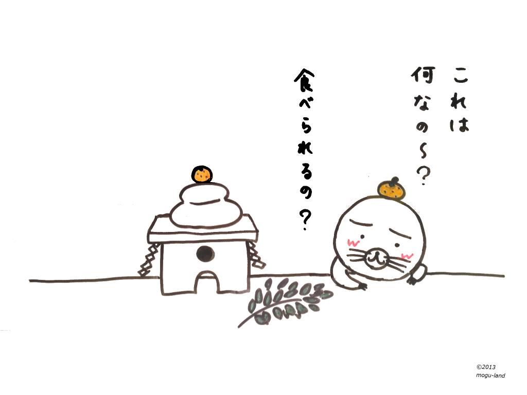 鏡餅を不思議がるモグ