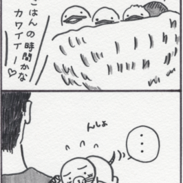 ツバメの子