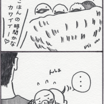 ツバメの子