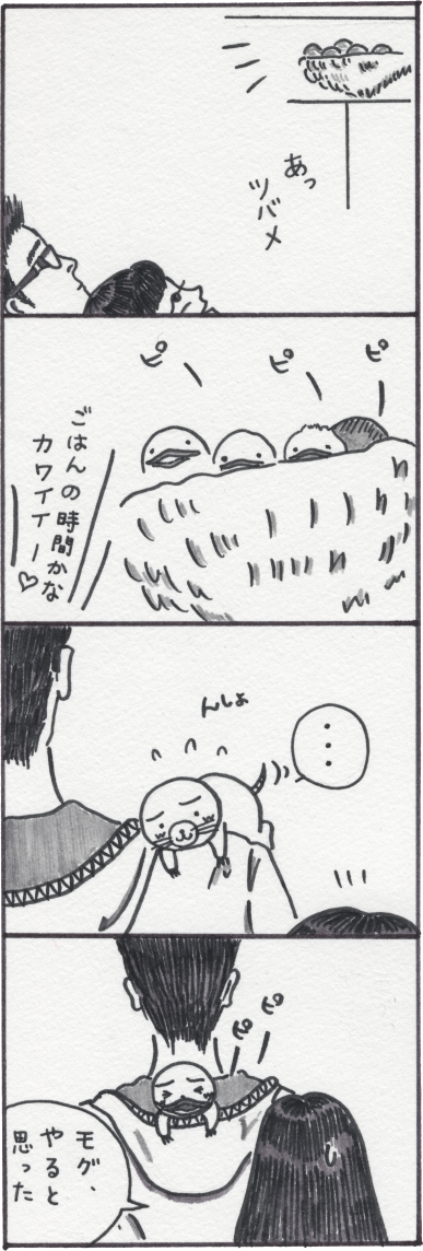 ツバメの子