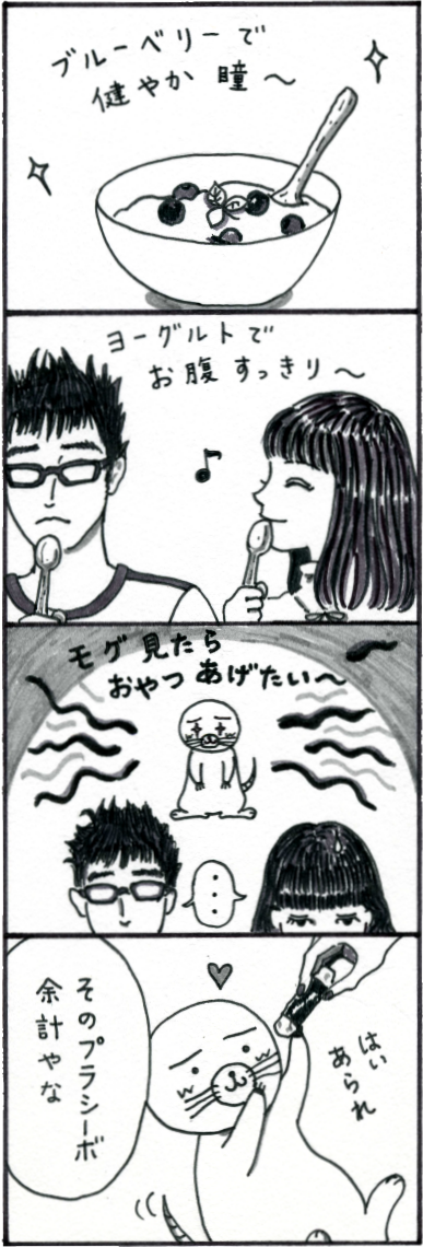 プラシーボ