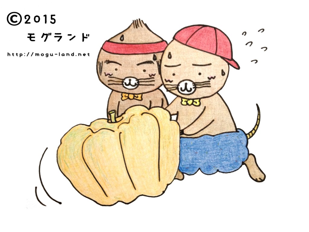 かぼちゃころがし