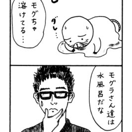 冷やしもぐら