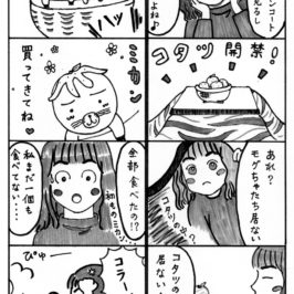 コタツ解禁