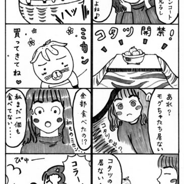 コタツ解禁
