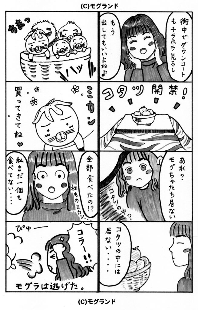 コタツ解禁