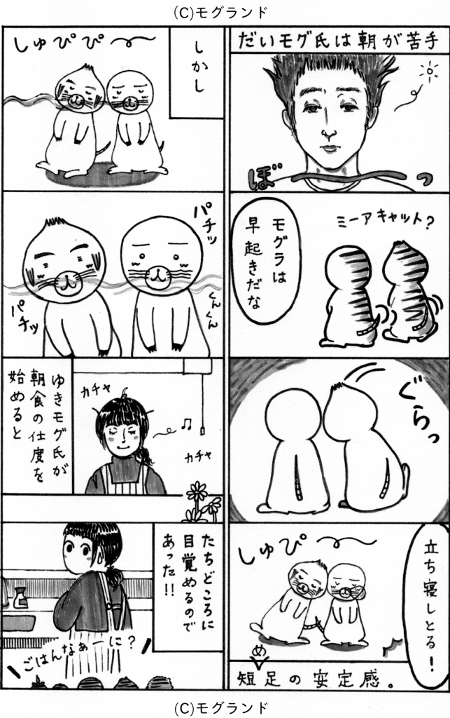 もぐらは朝が得意！？