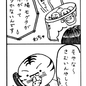 〇〇に夢中♪