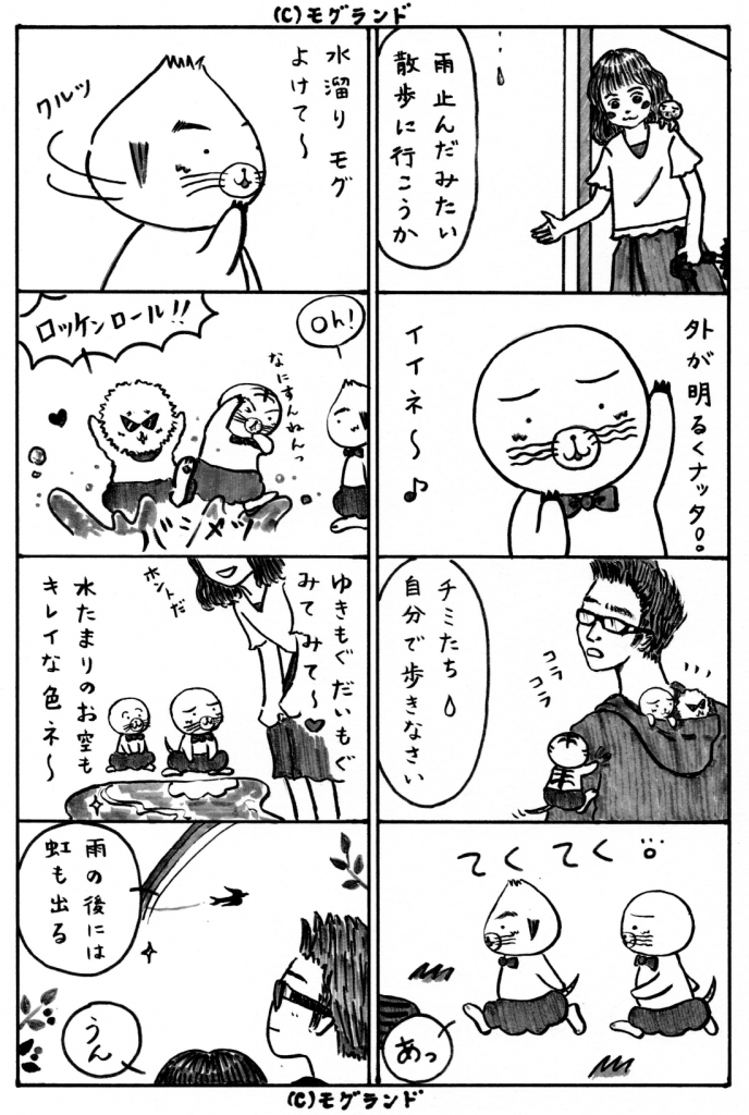 雨上がりの散歩
