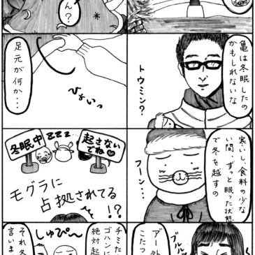 冬眠