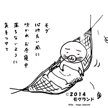 お昼寝～