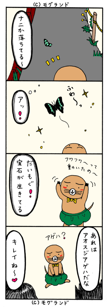 初夏の訪れ