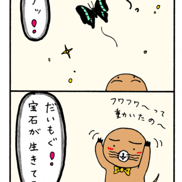 初夏の訪れ