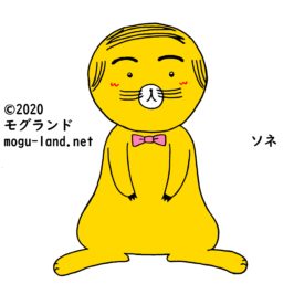 ソネ