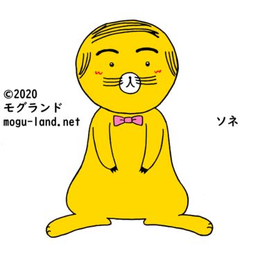 共感のソネ