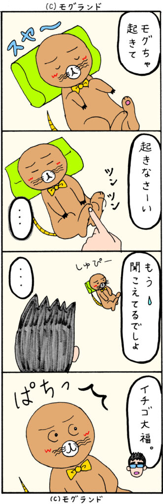 トラちゃんのおつかい。スピンオフ